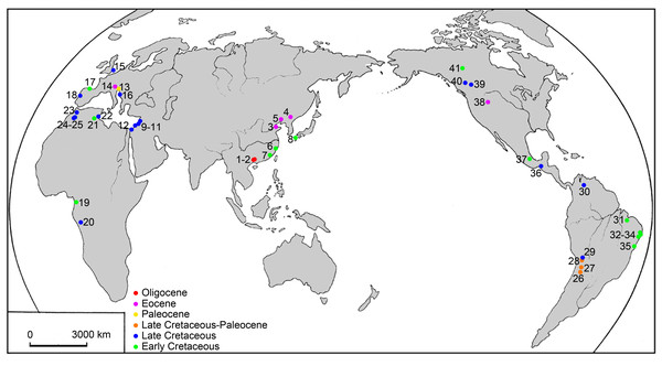 Map of the main localities of ellimmichthyiform fossils.
