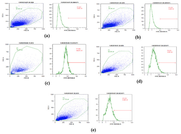 The representative of dot blots of various concentration CA on UV-induced fibroblast cell toward ROS level by flow cytometry.