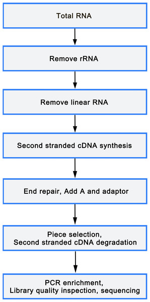 Library sequencing process.