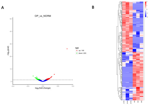 (A) Volcano plot (A) of differentially expressed circRNAs between OP and healthy control.