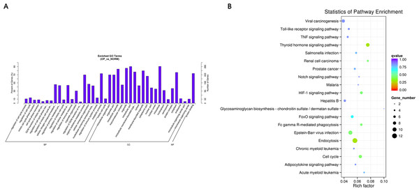 (A) GO enrichment (BP, CC, MF) of host genes of significantly differentially expressed circRNAs.