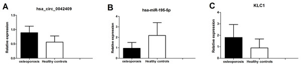 qPCR experiment validation of hsa_circ_0042409 (A), P < 0.05, hsa-miR-195-5b (B), P < 0.05 and KLC1 (C), P < 0.05.