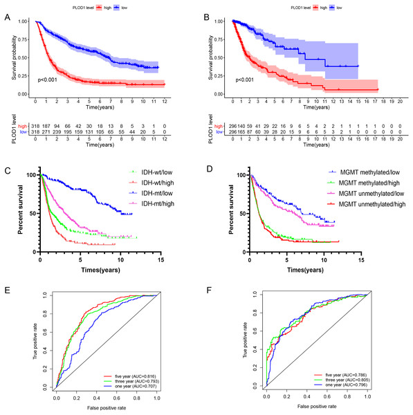  Survival analysis and prognostic values of PLOD1.