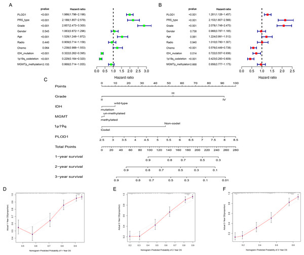  Independent prognostic analysis and development of nomogram of PLOD1 in glioma.
