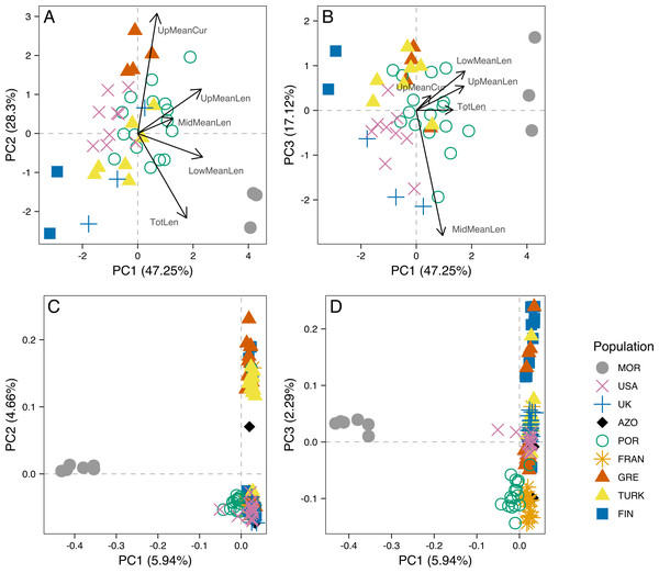 Principal component analysis of morphometric data of male aedeagus and of RAD-seq data.
