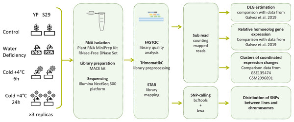 Pipeline of experimental methods and data processing methods used in this work.