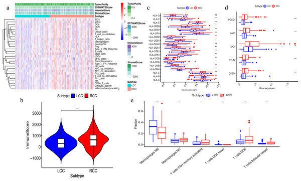 Exploration and validation the differences of immune microenvironment between LCC and RCC.