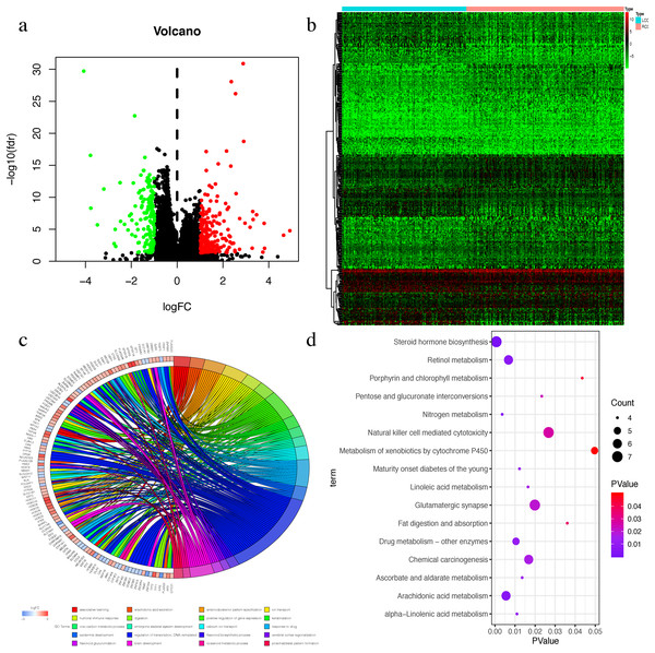 The Differential expressed mRNAs in LCC and RCC.