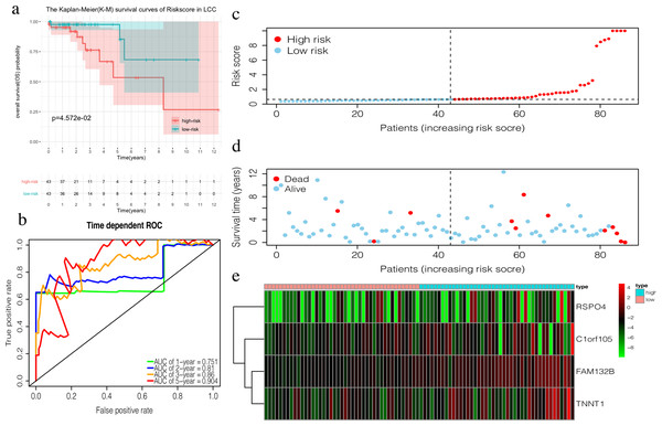 Construction of the prognostic model in the training group of LCC.