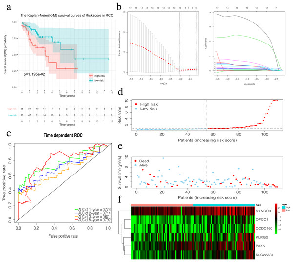 Construction of the prognostic model in the training group of RCC.