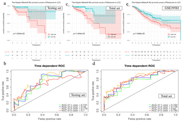 Validation of the prognostic signature of LCC.