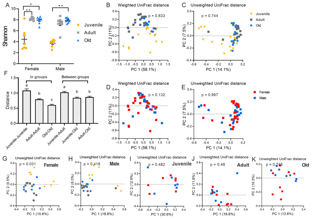 Sex- and age-specific variation of gut microbiota in Brandt’s voles [PeerJ]