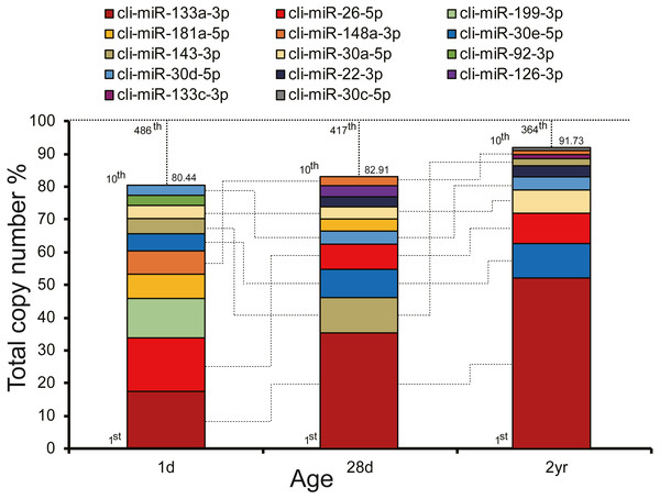 Top 10 highly abundant miRNAs in pigeon muscle at different age stages.