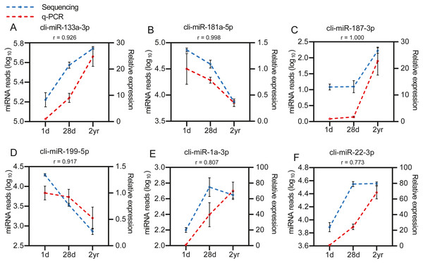 Validation of the sequencing data using qPCR for 6 randomly selected DE miRNAs (n= 3).