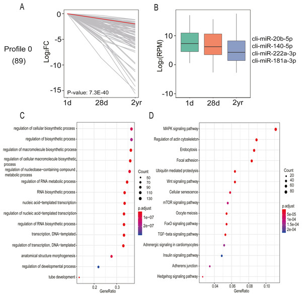 miRNA expression analysis by STEM clustering and functional enrichment analysis.