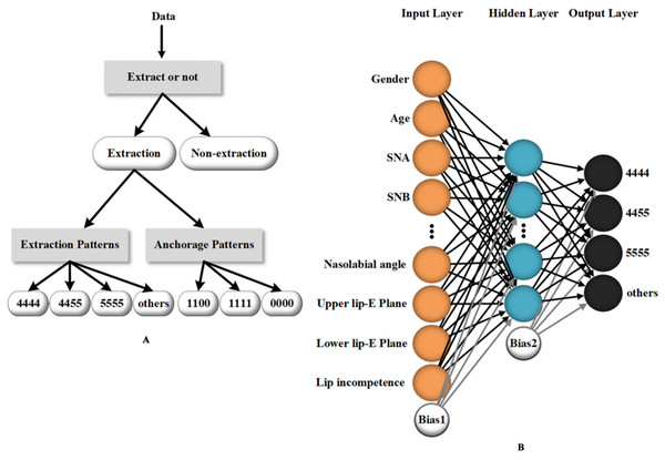 An example of a machine learning method (artificial neural network) utilized in orthodontic treatment design.