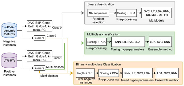 Schematic representation of the different approaches used in this study in the binary and multiclass classification tasks in LTR retrotransposons through Machine Learning.