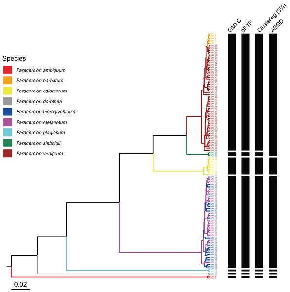 Comparison of species delimitation results of different methods of Paracercion based on the COI haplotypes.