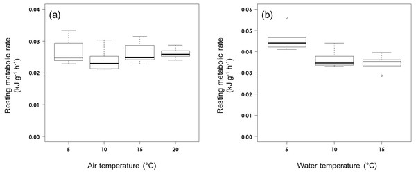 Resting metabolic rate (A) in air and (B) on water at different ambient temperatures in rhinoceros auklets.