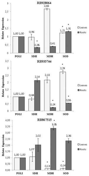Expression of genes of sugarcane cultivars in nutrient solution at different levels of Al stress (0 and 3,000 µmol L−1).