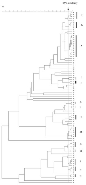 Dendrogram of ERIC-PCR patterns among 90 VRE isolates.