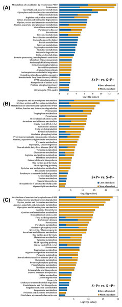 Pathway enrichment analysis of altered proteins in the liver of rats exposed to distress and piracetam.