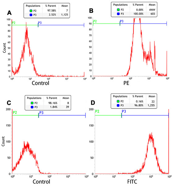 Flow cytometry analysis of the connection efficiency of both SA and Ab bound to PTX-PLGA/PFPs.