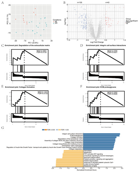 Identification of differentially expressed mRNAs and gene set enrichment analysis (GSEA) results.