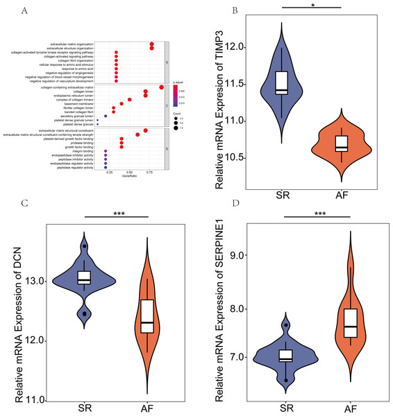 Expression verification of key genes in the public database.