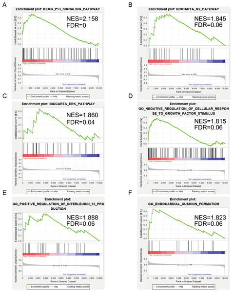 Gene set enrichment analysis (GSEA) enriched Gene Ontology, Kyoto Encyclopedia of Genes and Genomes (KEGG), and BIOCART pathways in the GSE2240 dataset of SERPINE1 (PAI-1) and decorin (DCN) expression.