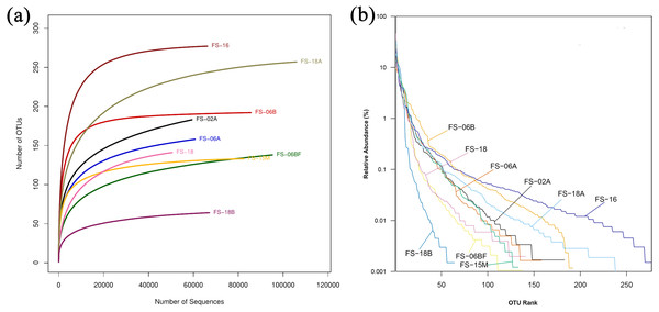 Rarefaction curves and rank abundance curves for the nine samples.