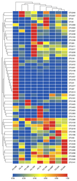 Clustering heatmap showing the 50 most abundant operational taxonomic units (OTUs).