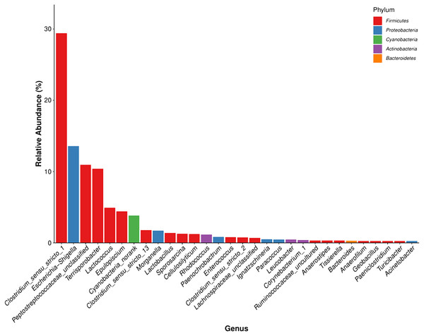 The microbial community with the greatest abundance of all samples at the genus level. The corresponding phylum level classification of the microbiomes is also shown.