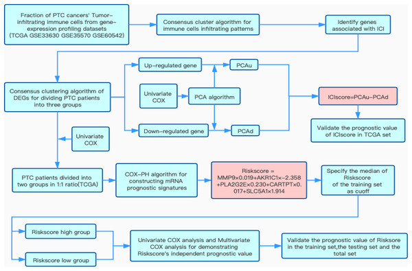 Flow chart of this study.