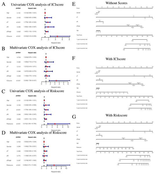 Independent prognostic analysis of ICIscore and Riskscore.