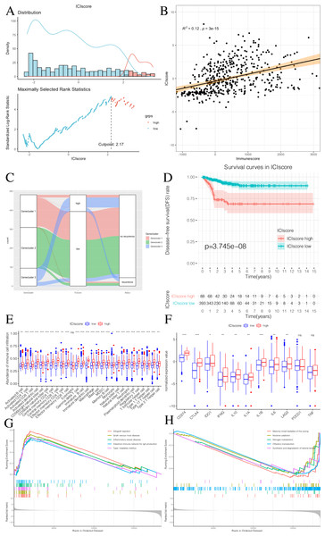 Construction of ICIscore and its clinical prognostic analysis.