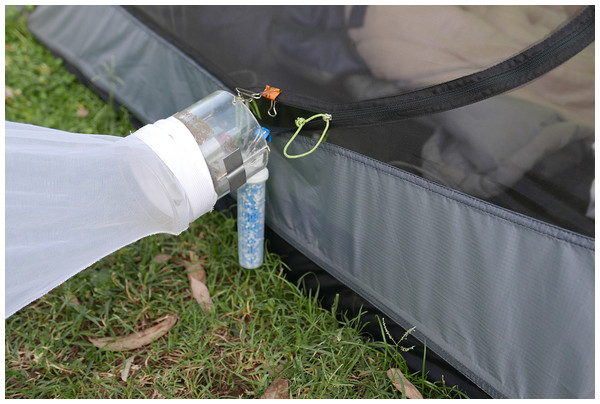 Furvela tent-trap with lure attached.
