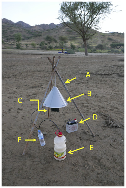Suna trap with carbon dioxide.