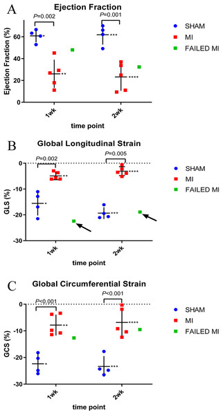 Scatter plots of individual animal data from conventional echocardiogram techniques of MI (red, n = 5), sham-operated (blue, n = 4), and failed MI animals (green) in 1-week and 2-week cohorts.