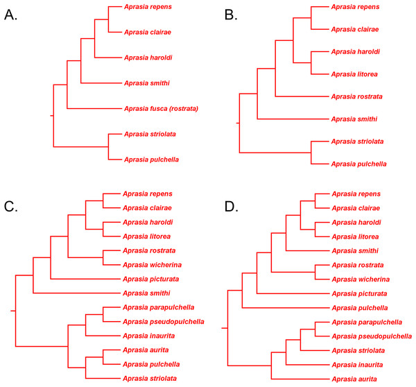 Phylogenetic hypotheses of the Aprasia repens species group and a novel phylogenetic hypothesis for Aprasia.