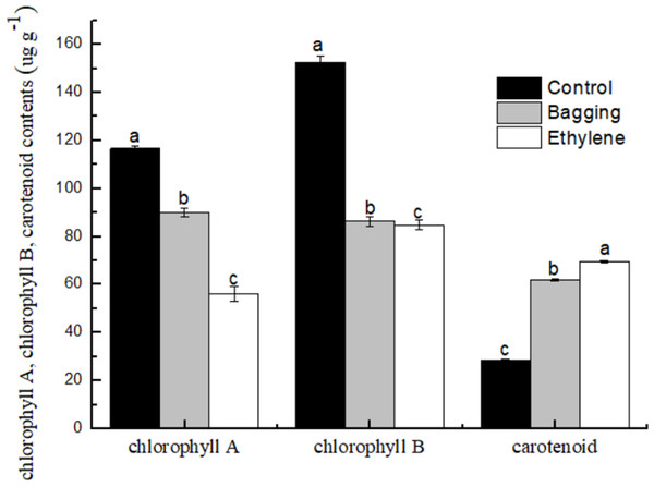 Effect of pre-harvest bagging and post-harvest ethylene de-greening treatments on pigment.