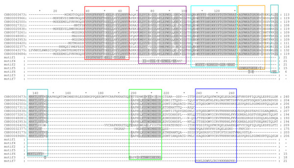 Sequence alignment and motif analysis of OsNAC7 subfamily genes.