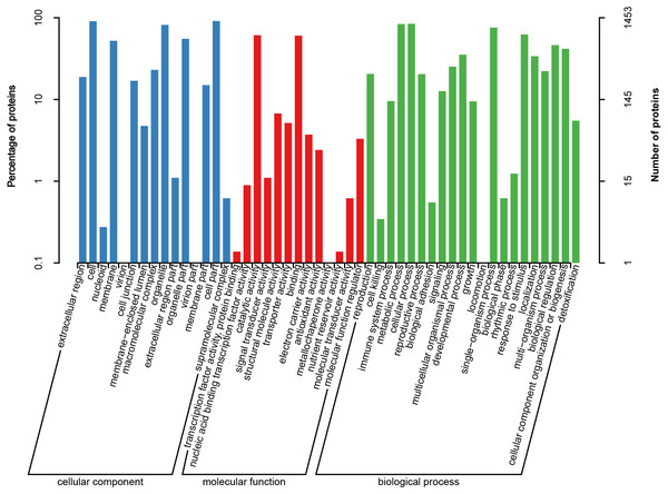 Gene Ontology (GO) annotation of all heat responsive proteins in HT and HS.