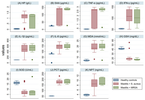 (A-K) Box plots showing variability of haptoglobin (HP), serum amyloid A (SAA), proinflammatory cytokines (IL-1 β, IFN-γ, IL-8, TNF-α), stress biomarkers (MDA, GSH and SOD), procalcitonin (PCT), and neopterin (NPT) in healthy and Holstein dairy cows with clinical staphylococcal mastitis.