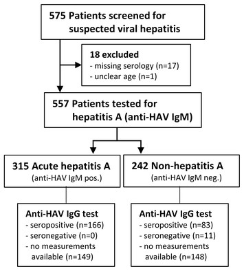 Clinical, Serological And Epidemiological Features Of Hepatitis A In 