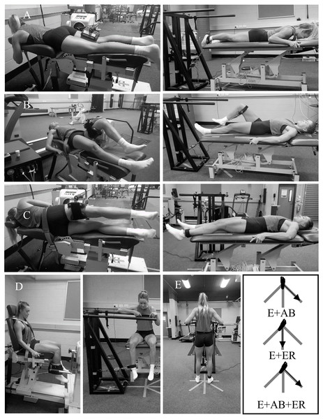 Hip muscle strength testing positions using a motor-driven dynamometer (MDD) and a custom rig.