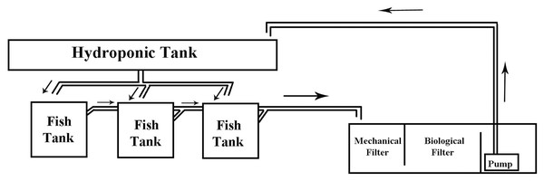 Aquaponic system diagram.