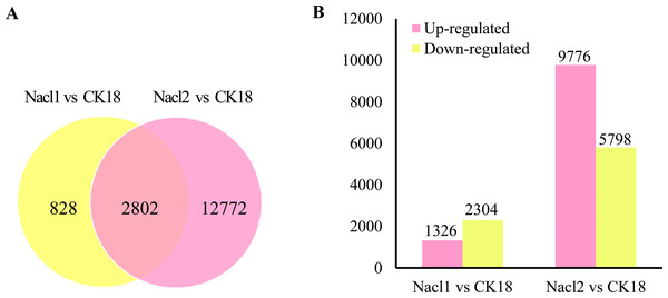 DEGs in the Nacl1 (0.1 M NaCl addition) and Nacl2 (0.8 M NaCl addition) treatments.