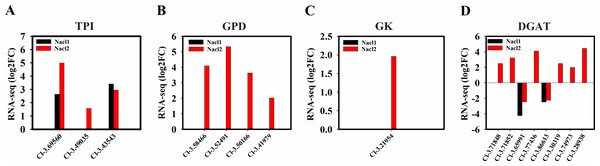 Expression of Chlorella sp. TLD6B genes involved in the TAG biosynthesis pathway under low (0.1 M NaCl addition, Nacl1) and high (0.8 M NaCl addition, Nacl2) salt treatments.