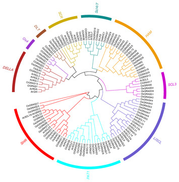 The GRAS gene family in watermelons: identification, characterization ...